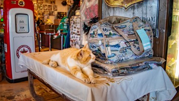 USA 2016 Route66-151
