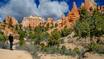 USA 2016 Bryce og Zion-107