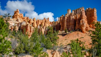 USA 2016 Bryce og Zion-108