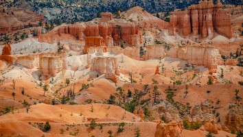 USA 2016 Bryce og Zion-110