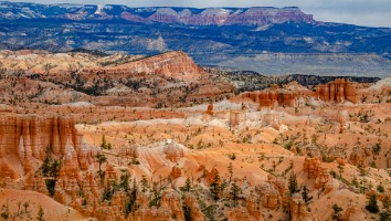 USA 2016 Bryce og Zion-111