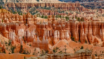 USA 2016 Bryce og Zion-114