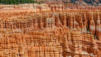 USA 2016 Bryce og Zion-118