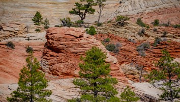 USA 2016 Bryce og Zion-125