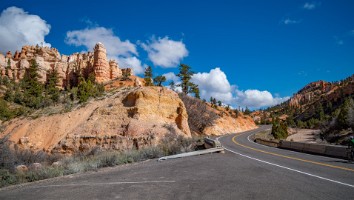 USA 2016 Bryce og Zion-133