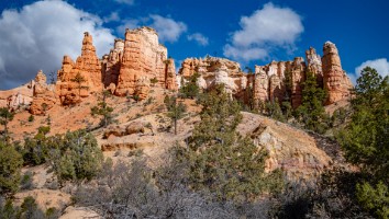 USA 2016 Bryce og Zion-134