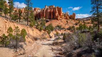 USA 2016 Bryce og Zion-135