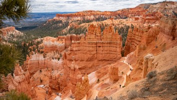 USA 2016 Bryce og Zion-136