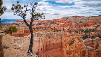 USA 2016 Bryce og Zion-138