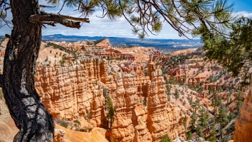 USA 2016 Bryce og Zion-144