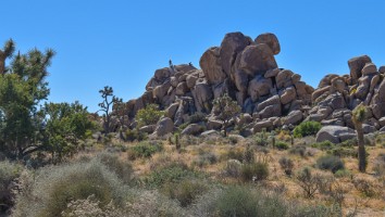 USA-2017 0-5008