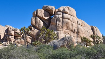 USA-2017 0-5010