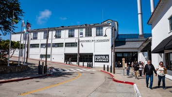 USA 2018 dag-3--32