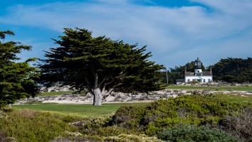 USA 2018 dag-3--49