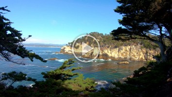 WEB Point Lobos 2