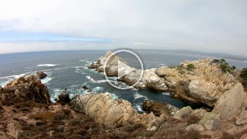 WEB Point Lobos 4