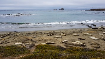 USA 2018 dag-5-12