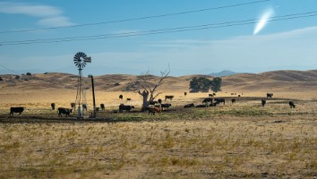 USA 2018 dag-8-105