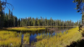 USA 2018 dag-9-100
