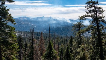 USA 2018 dag-9-104
