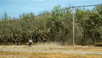 USA 2018 dag-10-312