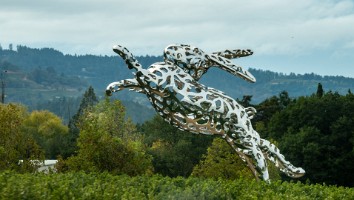 USA 2018 dag-10-322