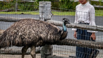 USA 2018 dag-10-333
