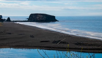 USA 2018 dag-12-16