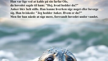 Anker-side-06
