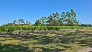 Bornholm 2026 061