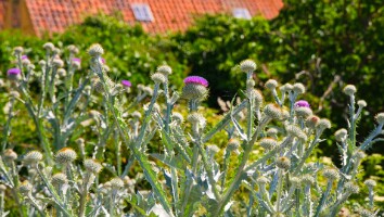 Bornholm 2026 127