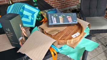 Gosia 60 �rs f�dselsdag havefest 20260815 132555