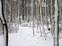 Vinter marts 2018-10