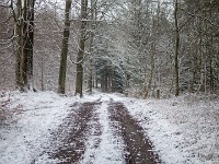 Vinter marts 2018-11