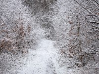 Vinter marts 2018-12