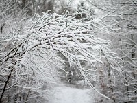 Vinter marts 2018-13