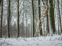 Vinter marts 2018-15