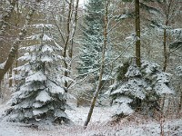 Vinter marts 2018-16