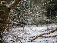 Vinter marts 2018-20