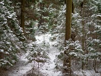 Vinter marts 2018-21