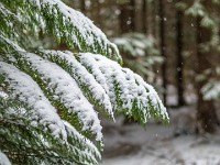 Vinter marts 2018-22
