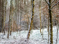 Vinter marts 2018-23