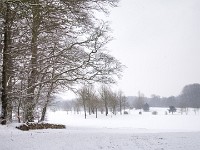 Vinter marts 2018-25