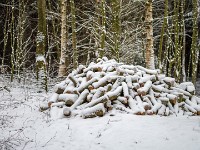 Vinter marts 2018-26