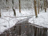 Vinter marts 2018-27
