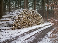 Vinter marts 2018-29