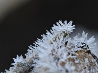 55D 0618