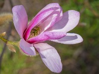 Macro i haven april 2018 - -20