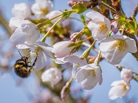 Macro i haven april 2018 - -26