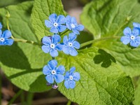 Macro i haven april 2018 - -28